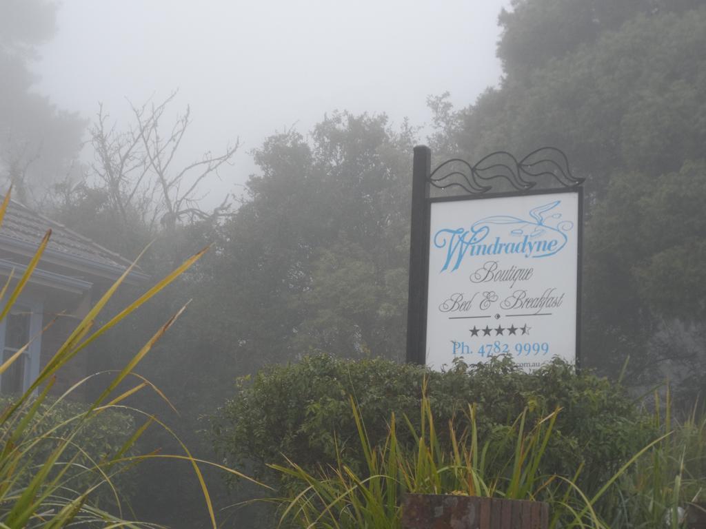 Windradyne Boutique Bed & Breakfast Katoomba Eksteriør bilde
